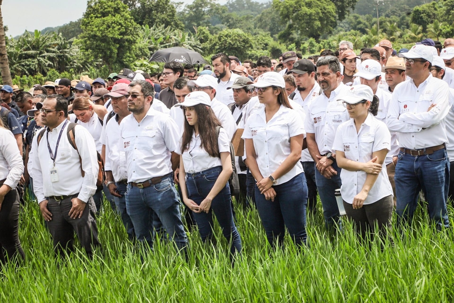 Gobierno Inicia Con Evaluaciones Para Llevar Ayuda A Productores